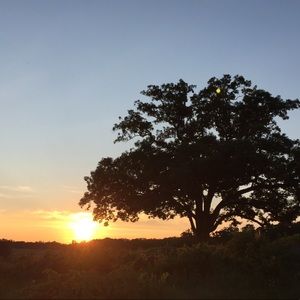 Meet your Posher, Madelyn